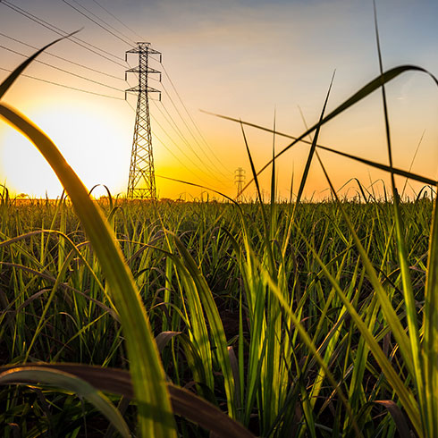 Transformando Liderança e Engajamento Operacional